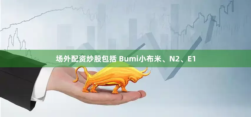 场外配资炒股包括 Bumi小布米、N2、E1